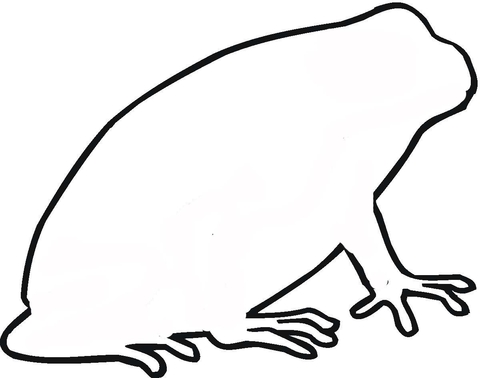 Toad Outline  Coloring Page